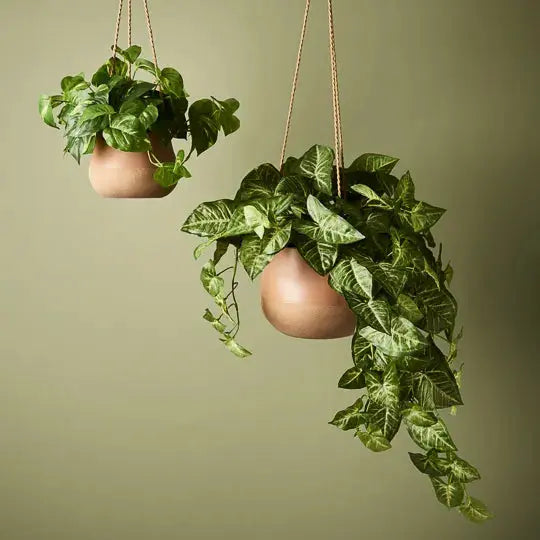 Bowl Iosetta Hanging - Nude - 21cmD Folia House