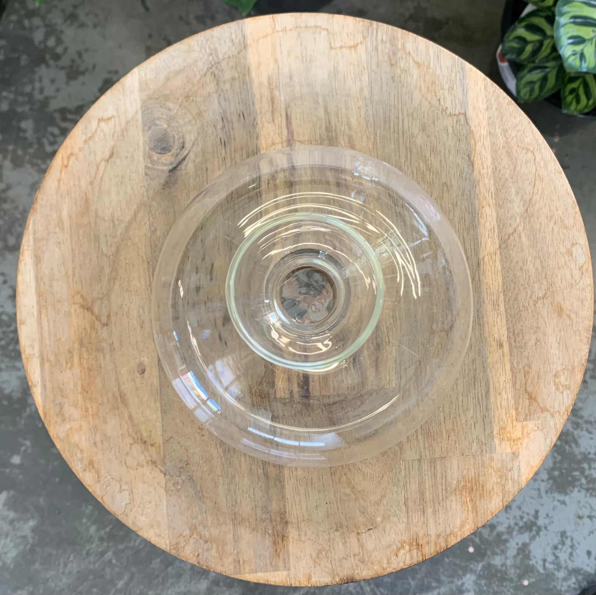 Propagation vase - Clear - 15cm