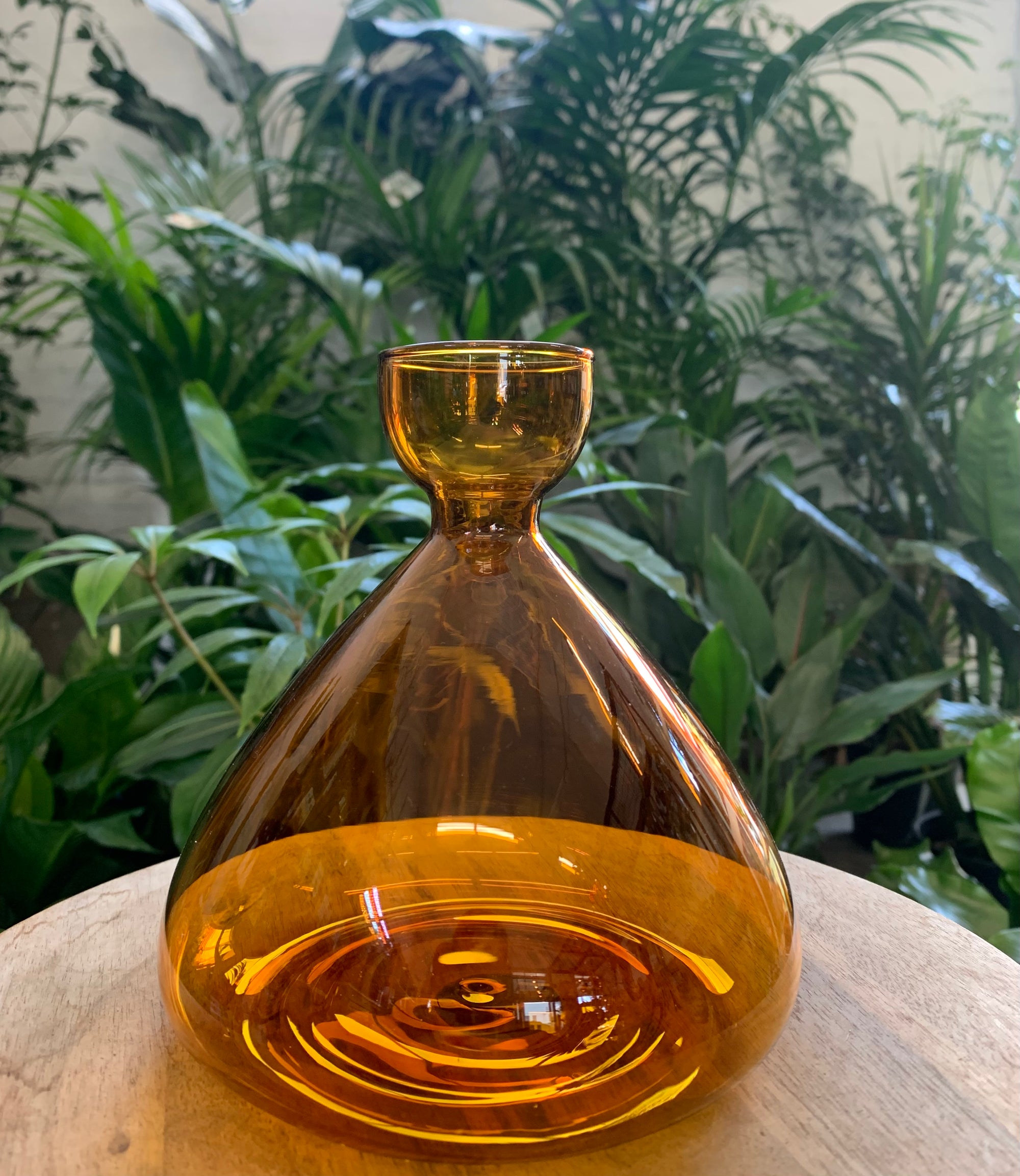 Propagation vase - Amber - 15cm