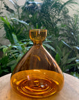 Propagation vase - Amber - 15cm
