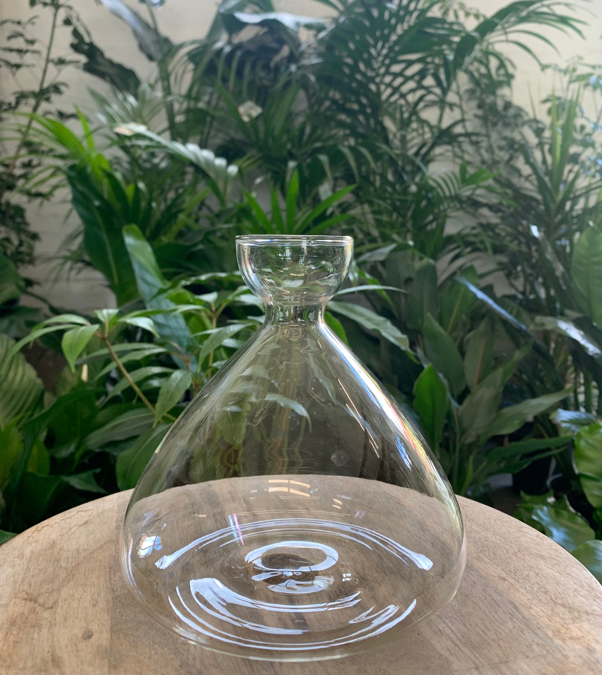 Propagation vase - Clear - 15cm