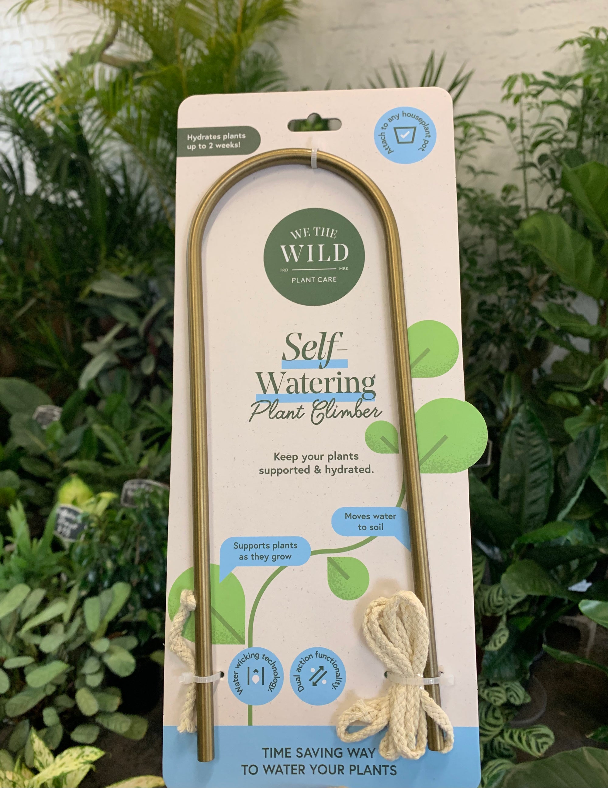 Self-watering Plant Climber - &quot;We The Wild&quot;