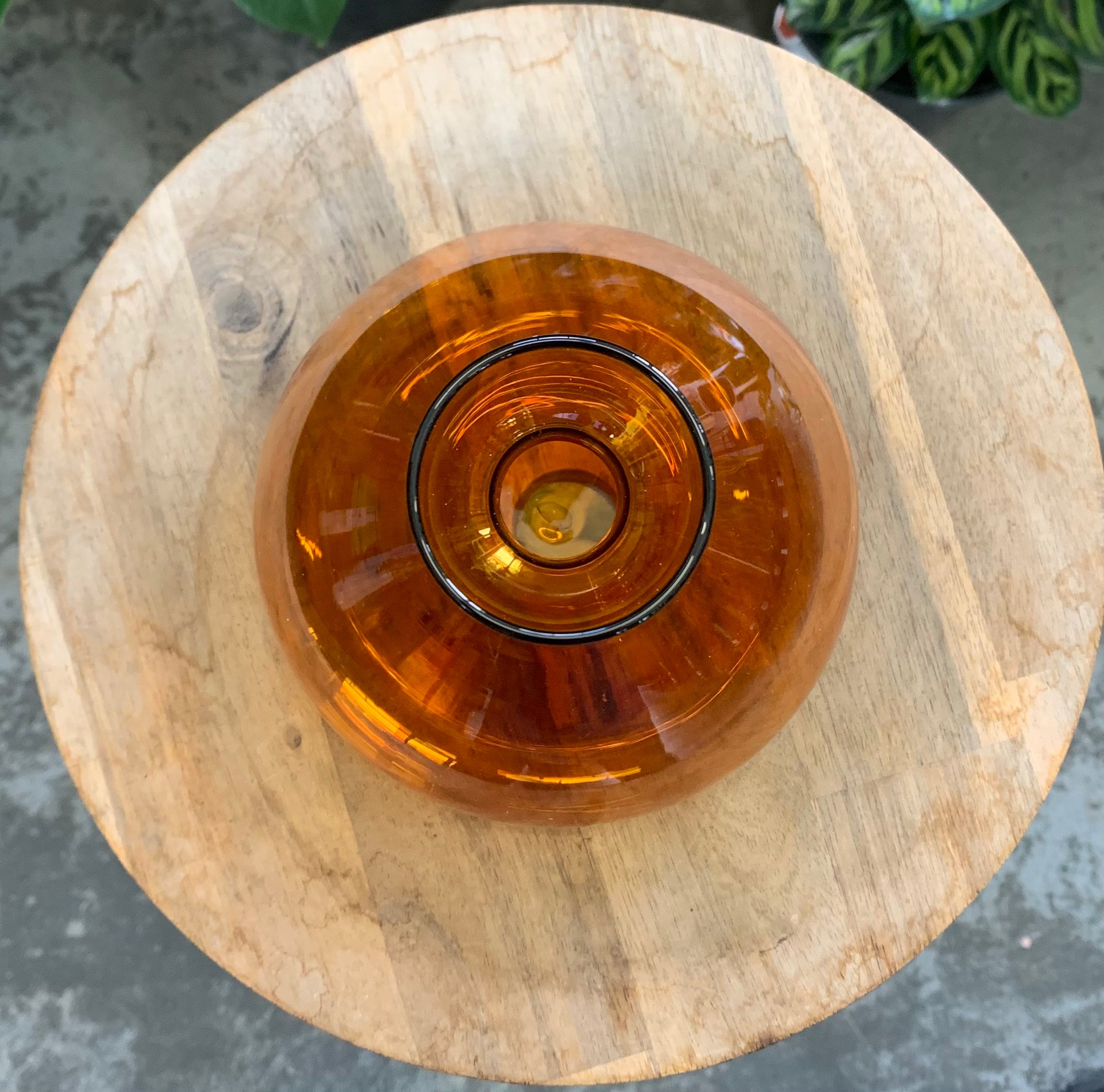 Propagation vase - Amber - 15cm