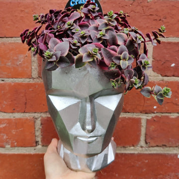 Geometric Head Pot - Plant A Folia House