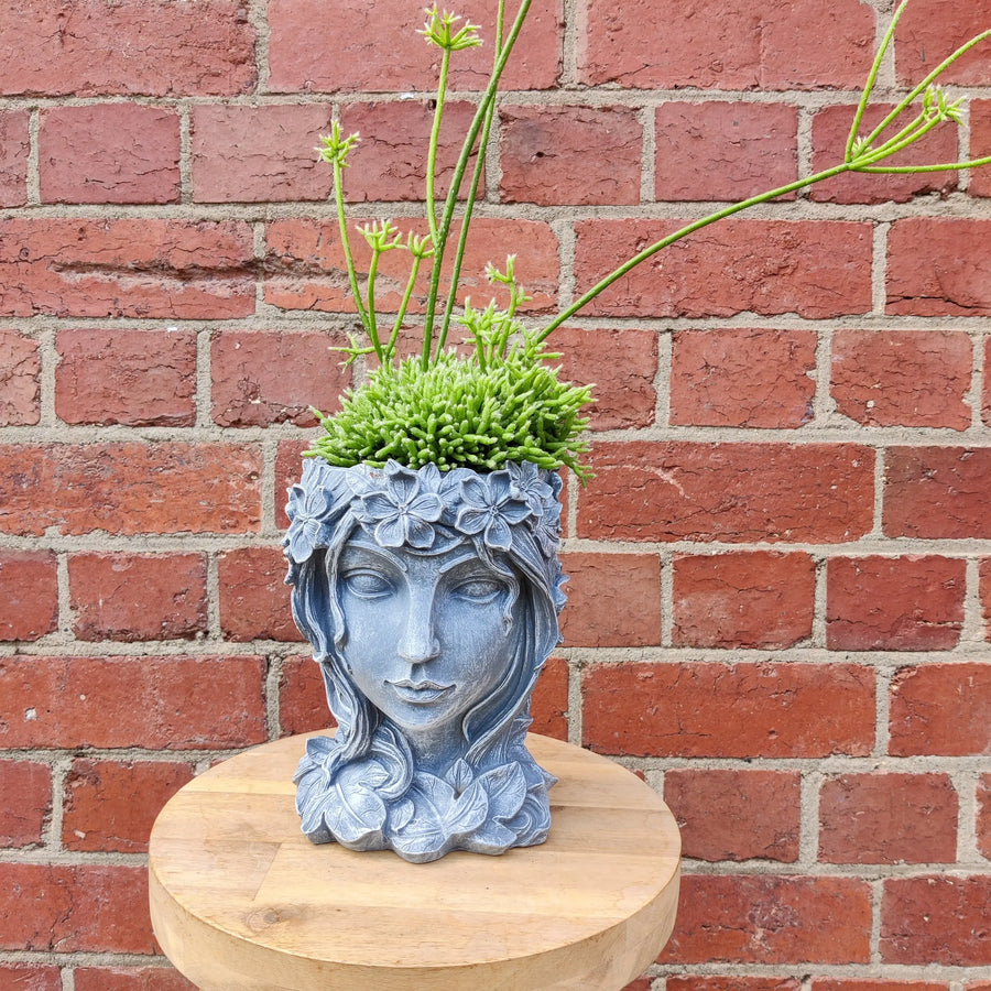 Grecian Head Planter - Plant L Folia House