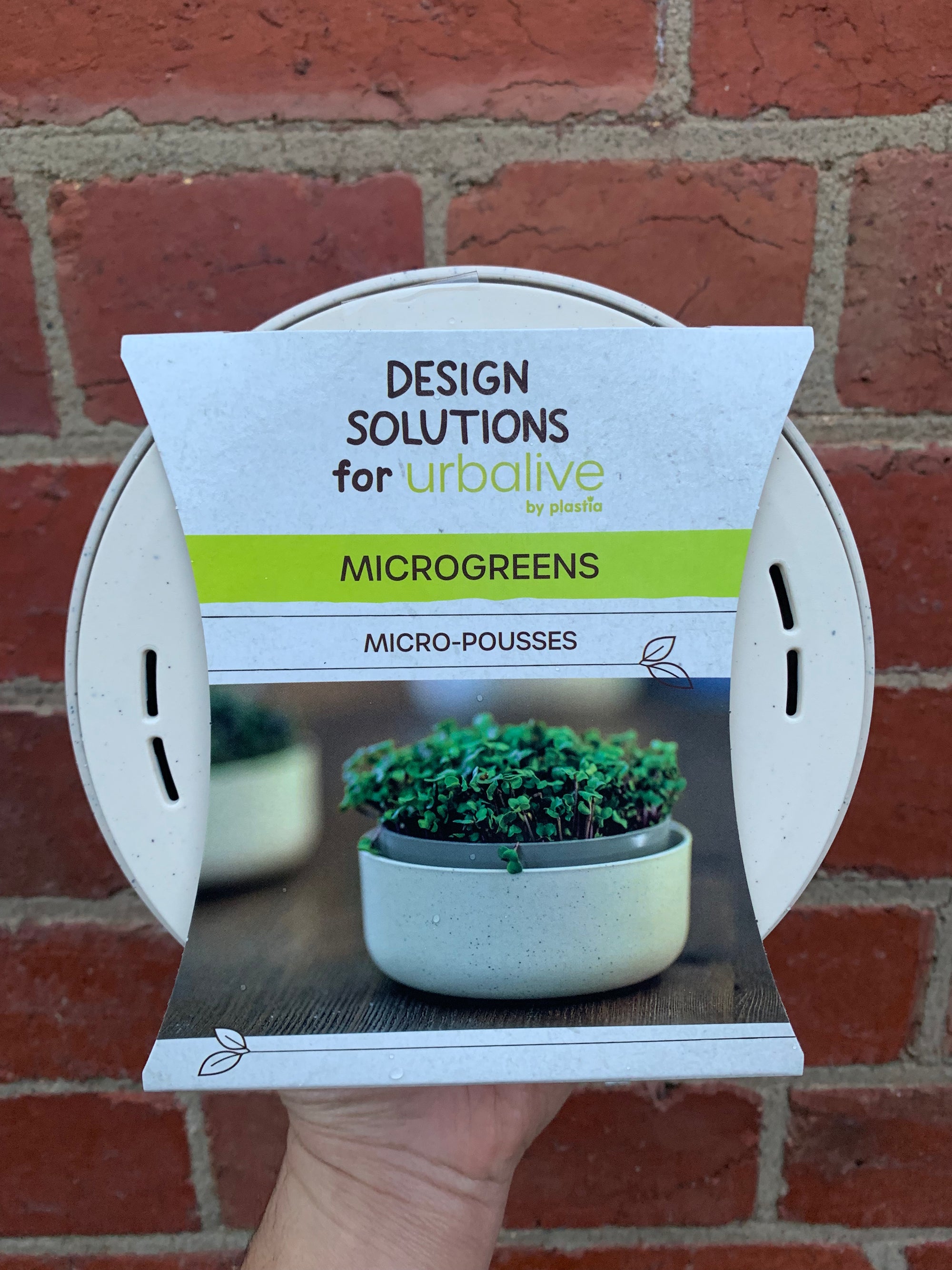 Microgreen Kit - Micro-pousses - 15x15cm