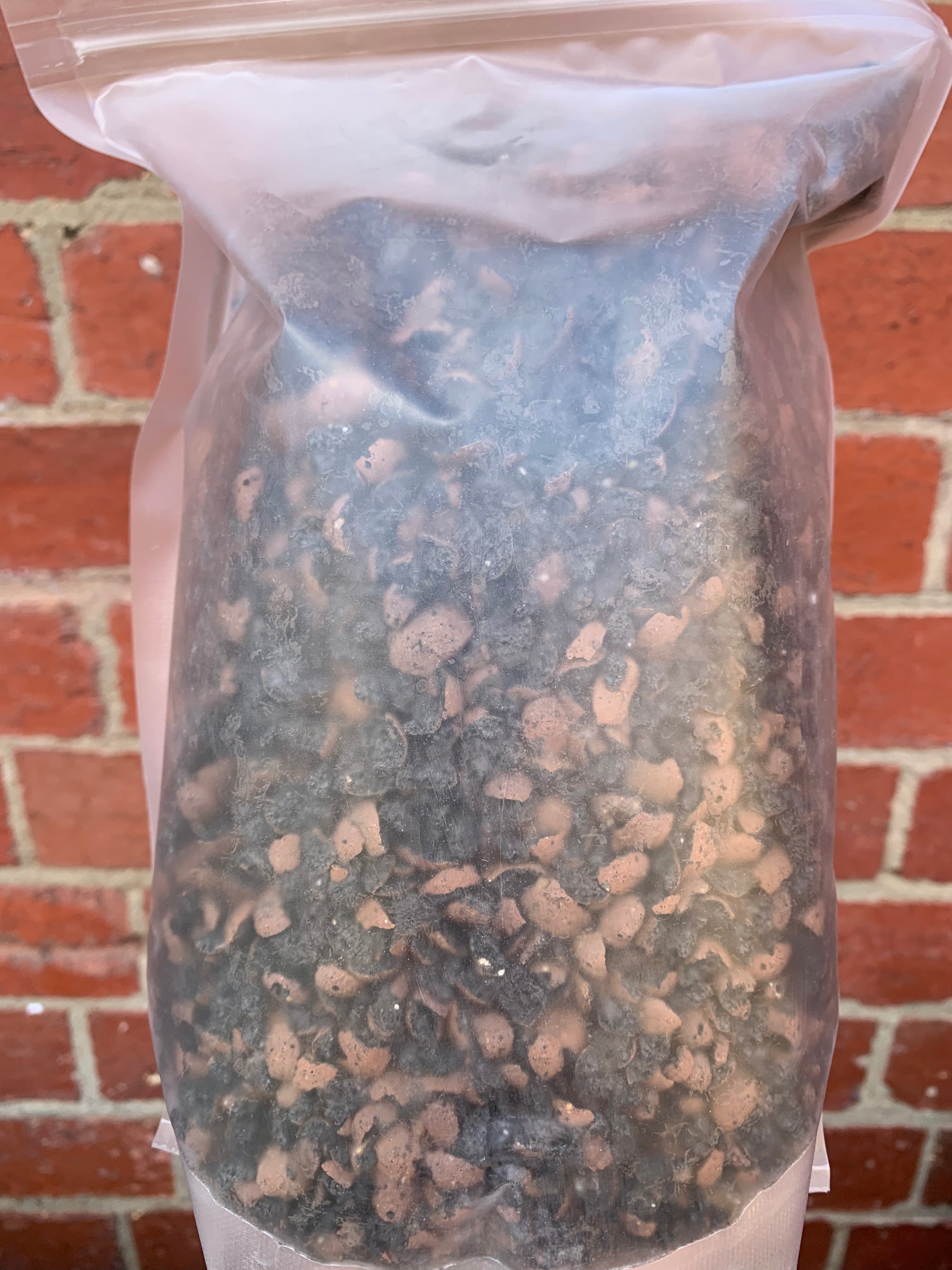 Expanded Clay Balls - 2 liter bag