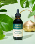 Indoor Plant Food - The Plant Runner