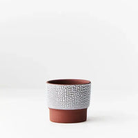 Pot Pinja - Terracotta White - 8cmD Folia House
