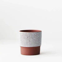 Pot Pinja - Terracotta White - 9cmD Folia House