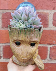 Succulent Head Planter Folia House