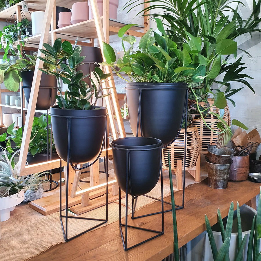 Black Metal Planter With Triangle Stand Folia House