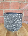 DM elevated speckle pot - Black - 13cmD Folia House