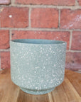 DM elevated speckle pot - Green - 13cmD Folia House