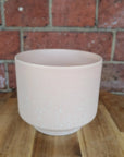 DM elevated speckle pot - Pink - 13cmD Folia House