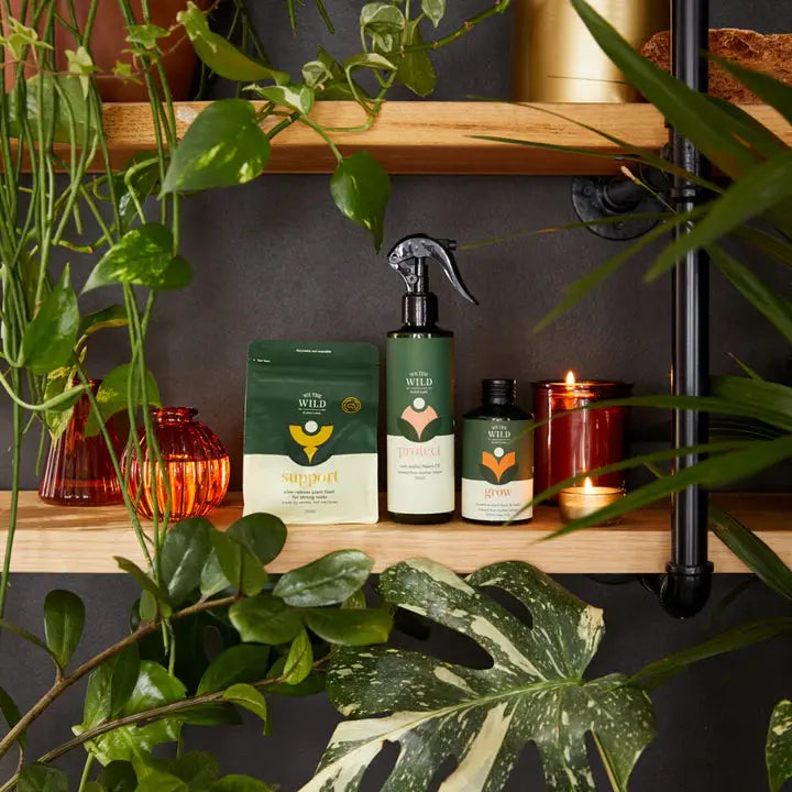 Essential Plant Care Kit - "We The Wild" Folia House