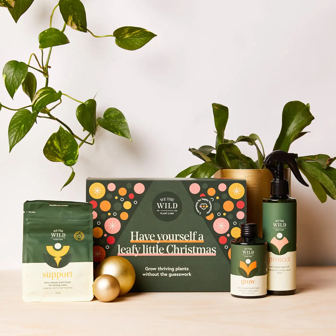 Essential Plant Care Kit - "We The Wild" Folia House