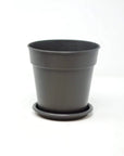 Madagascar Pot Anthracite Folia House