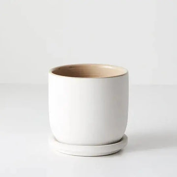 Pot Cavo w/saucer - White - 12cmD Folia House