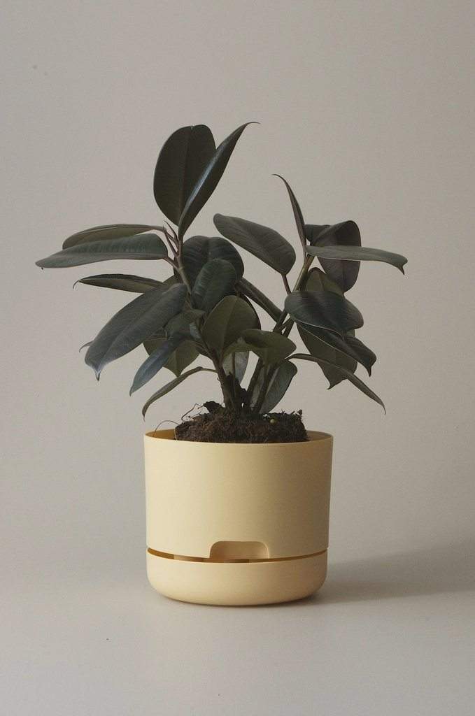 Self-watering Plant Pot Buff Folia House