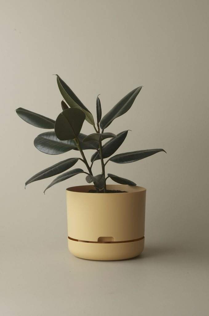 Self-watering Plant Pot Buff Folia House