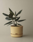 Self-watering Plant Pot Buff Folia House