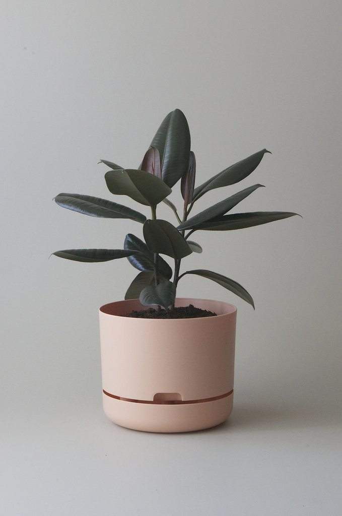 Self-watering Plant Pot Pale Apricot Folia House