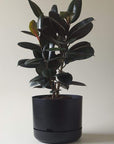 Self-watering Plant Pot Recycled Black Folia House