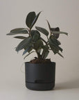 Self-watering Plant Pot Recycled Black Folia House