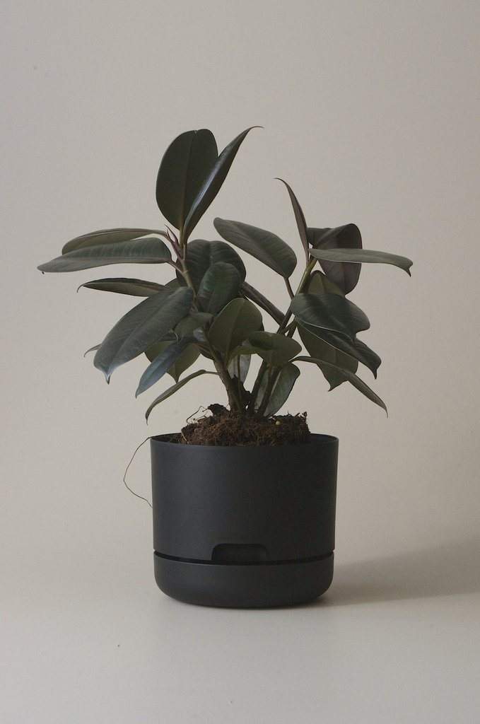 Self-watering Plant Pot Recycled Black Folia House