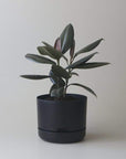 Self-watering Plant Pot Recycled Black Folia House