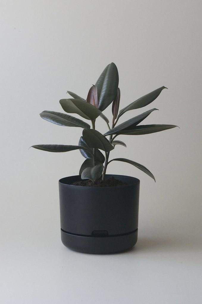 Self-watering Plant Pot Recycled Black Folia House
