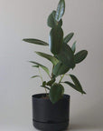 Self-watering Plant Pot Recycled Black Folia House