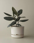 Self-watering Plant Pot White Linen Folia House