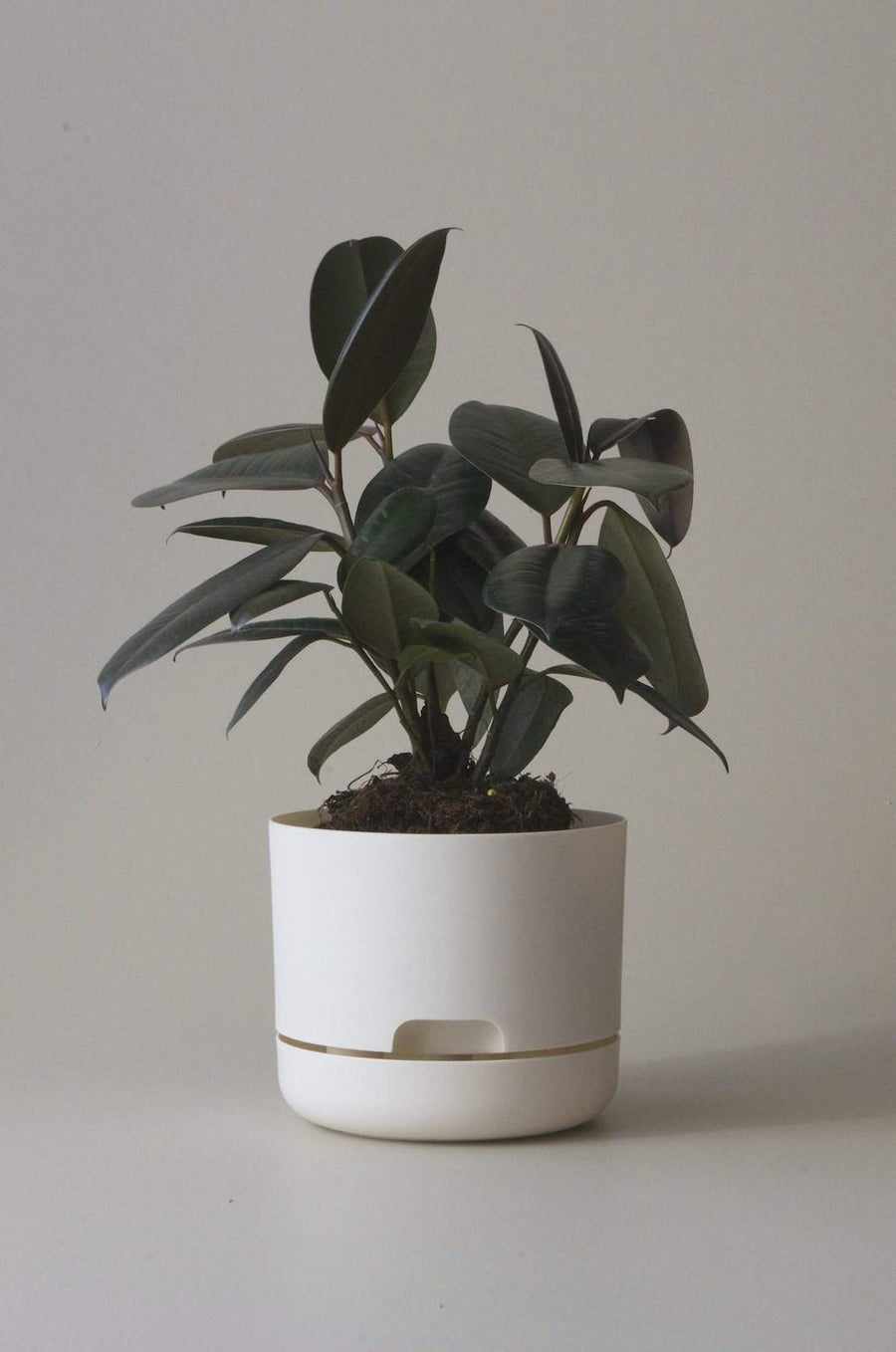 Self-watering Plant Pot White Linen Folia House