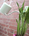 Watering can white Folia House