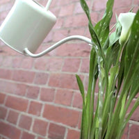 Watering can white Folia House